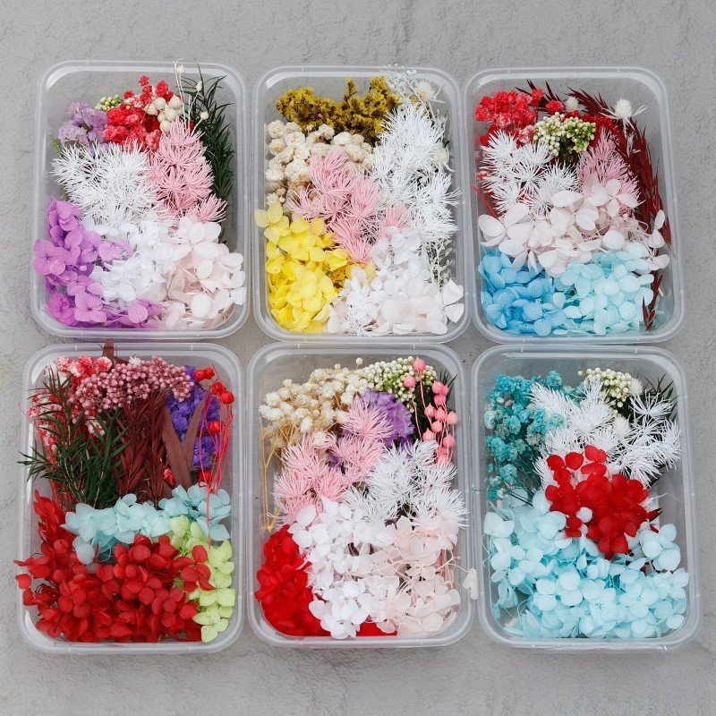 G70 Wholesale Mixed Pressed Dried Flowers Real Natural Dry Flower Diy Makeup Nail Phone Case Frame Plant Flower Specimens
