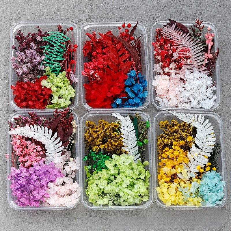 G70 Wholesale Mixed Pressed Dried Flowers Real Natural Dry Flower Diy Makeup Nail Phone Case Frame Plant Flower Specimens