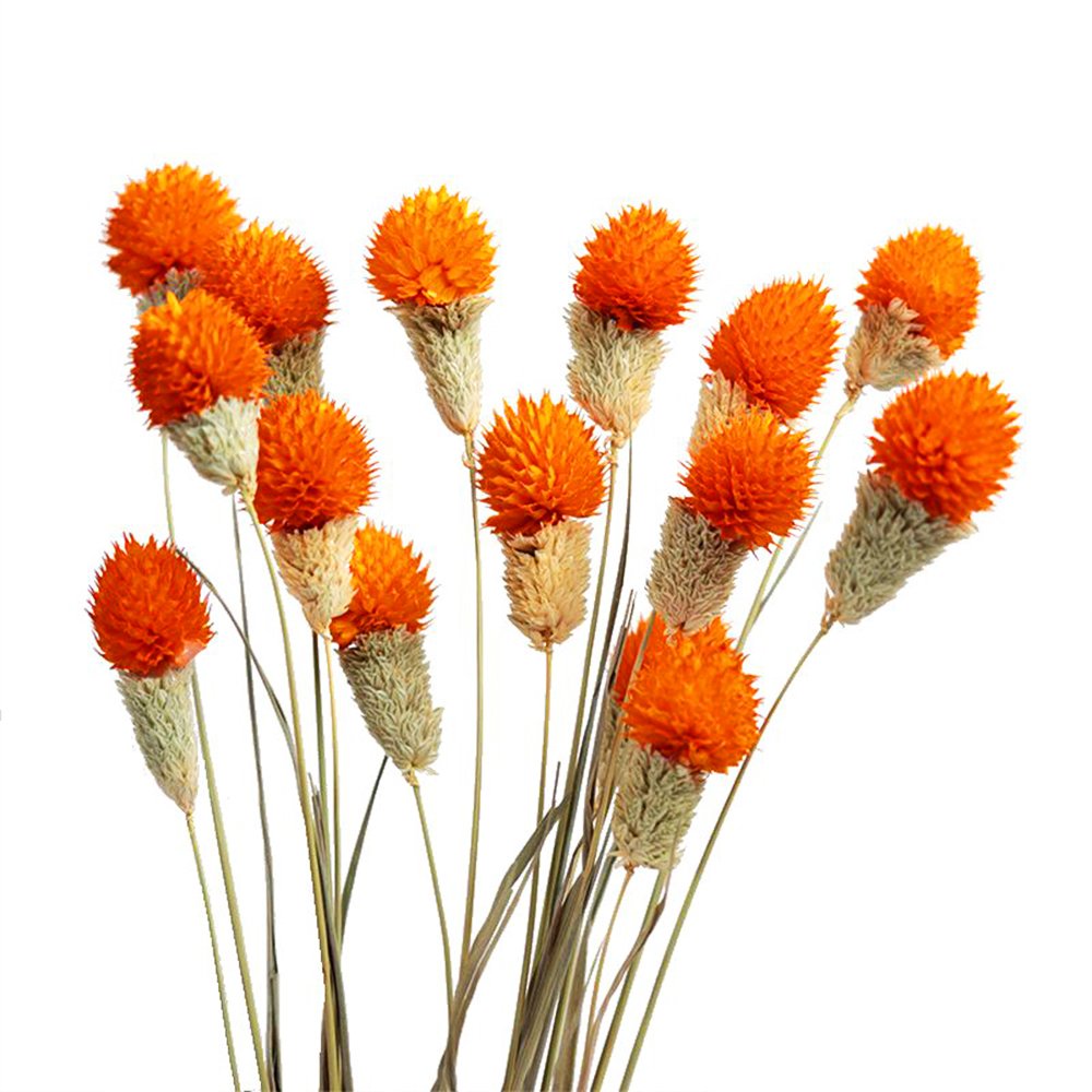 tiny dry flower fo resin art high quality pressed dried flowers sheet Yunnan real 100 natural dried male papaya flower