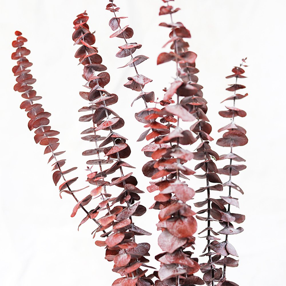 tiny dry flower fo resin art high quality pressed dried flowers sheet Yunnan real 100 natural dried male papaya flower