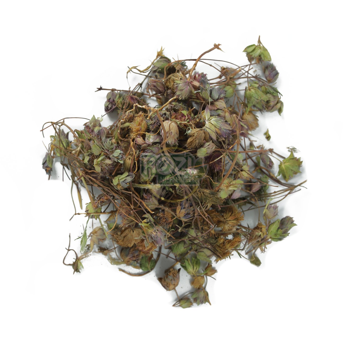 Hyssop Herb / Hyssopus Officinalis/ Gul Zofa