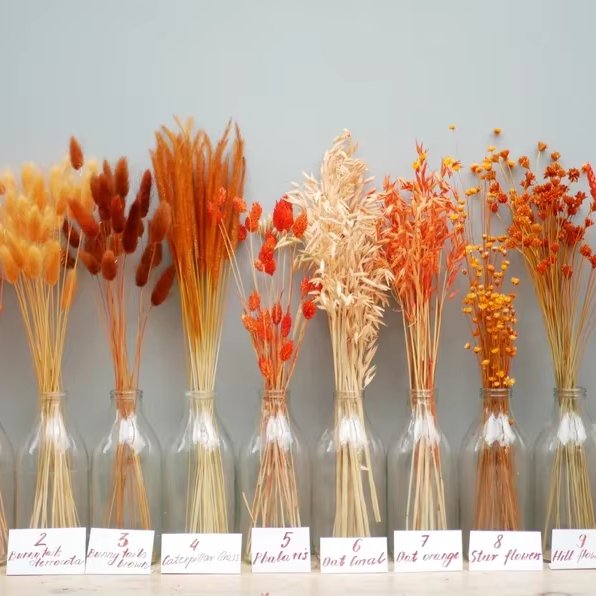 Autumnal dried flowers Little Mix Orange 1- 3- 5- 10 stemsYellow BrownGolg wheat stemsCanary Grass Oat Dried grass Bunny tails
