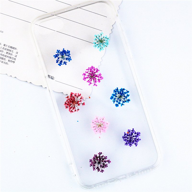 Natural Dried Pressed Queen Anne's Lace Flower for Resin Jewelry Making Candle Making Scrapbooking DIY