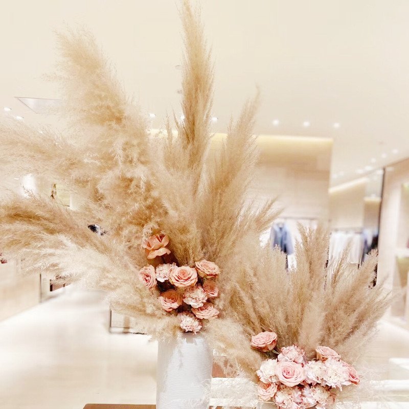 BX-5 Wholesale pampas grass weddings home decor natural dried flower decorative flowers fluffy large pampas pampa grass