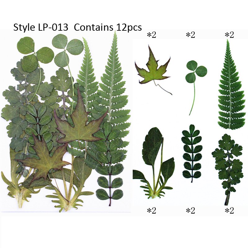 Wholesale Dry Pressed Flowers Makeup Photo Nail DIY Decoration Real Dry Pressed Flower Natural Bulk Mixed Dried Pressed Flowers