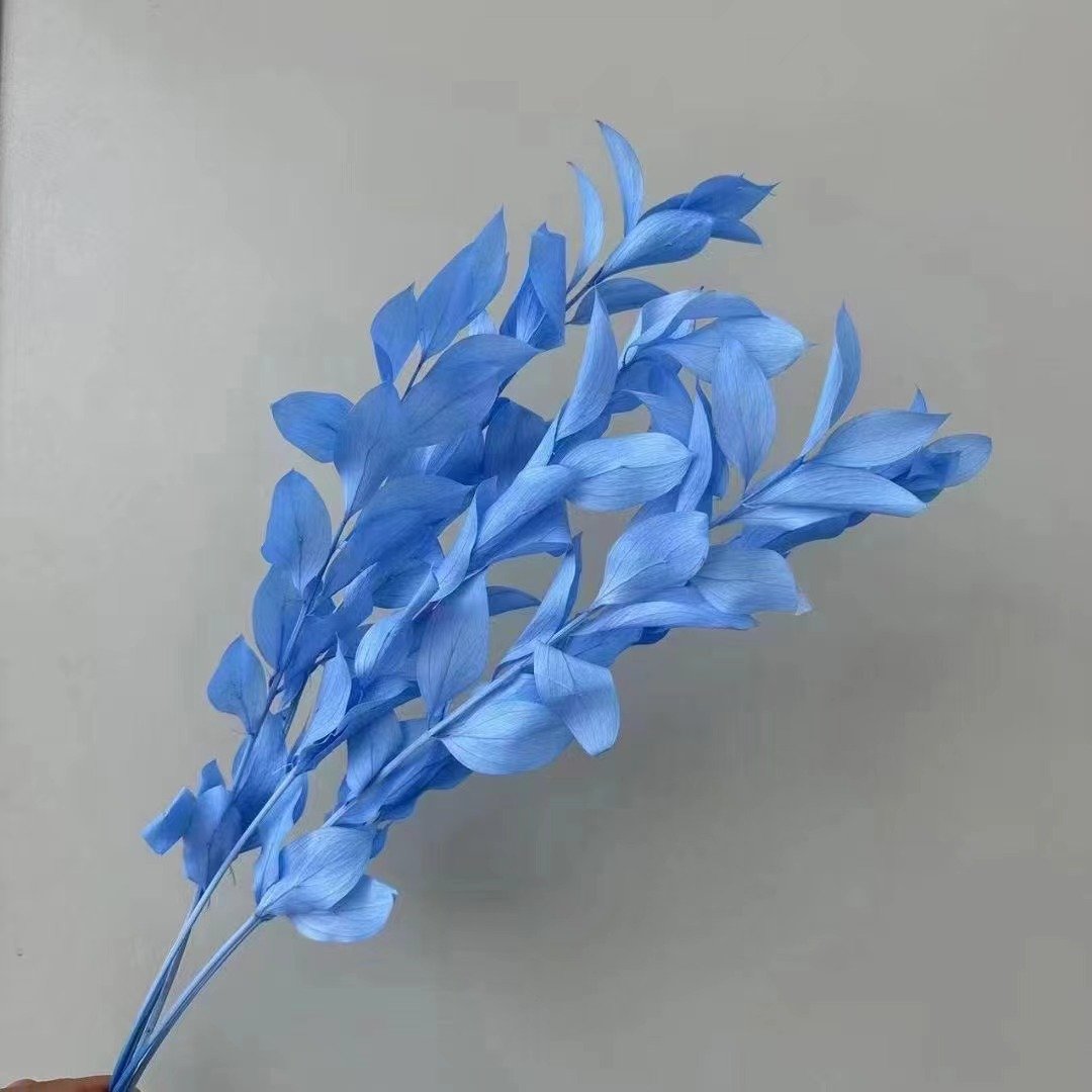 AX-88 Wholesale Natural Dried flowers Eternal preserved orange leaf for wall decoration