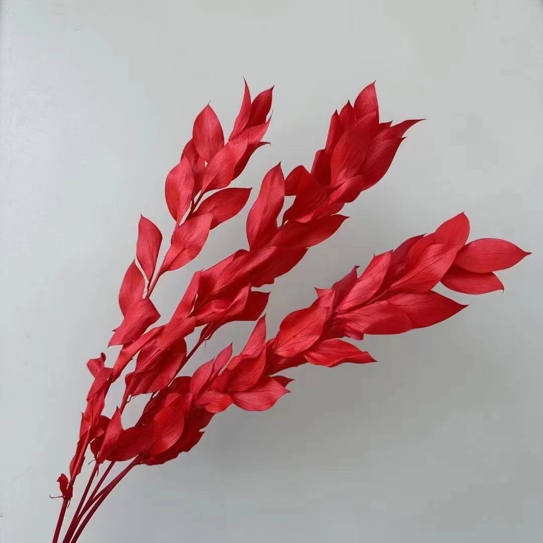 AX-88 Wholesale Natural Dried flowers Eternal preserved orange leaf for wall decoration