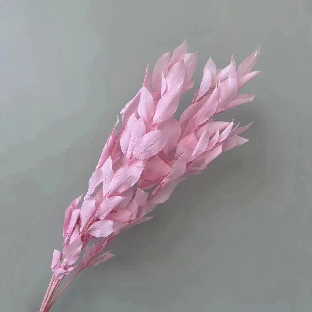 AX-88 Wholesale Natural Dried flowers Eternal preserved orange leaf for wall decoration