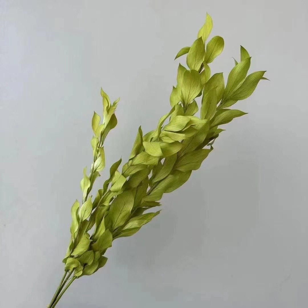 AX-88 Wholesale Natural Dried flowers Eternal preserved orange leaf for wall decoration