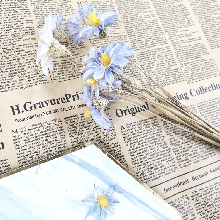 SumFlora Most Popular Wooden Dried Everlasting Flower Orchid As Gift For Birthday