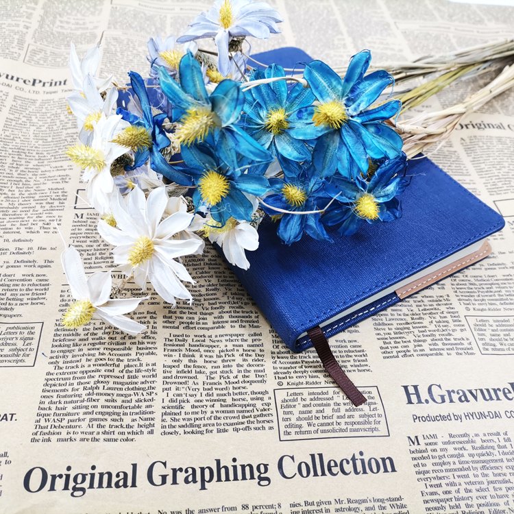 SumFlora Most Popular Wooden Dried Everlasting Flower Orchid As Gift For Birthday