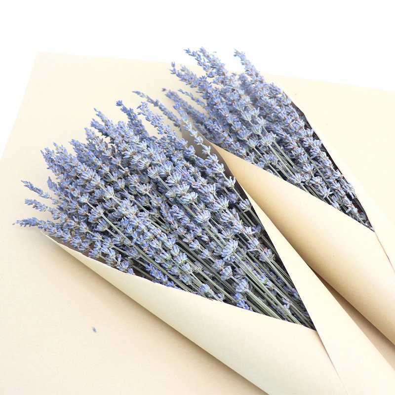 Lavender Silk Dried Flowers Natural Dried Flowers for Home Decoration Valentine's Day Dried Flowers party decor