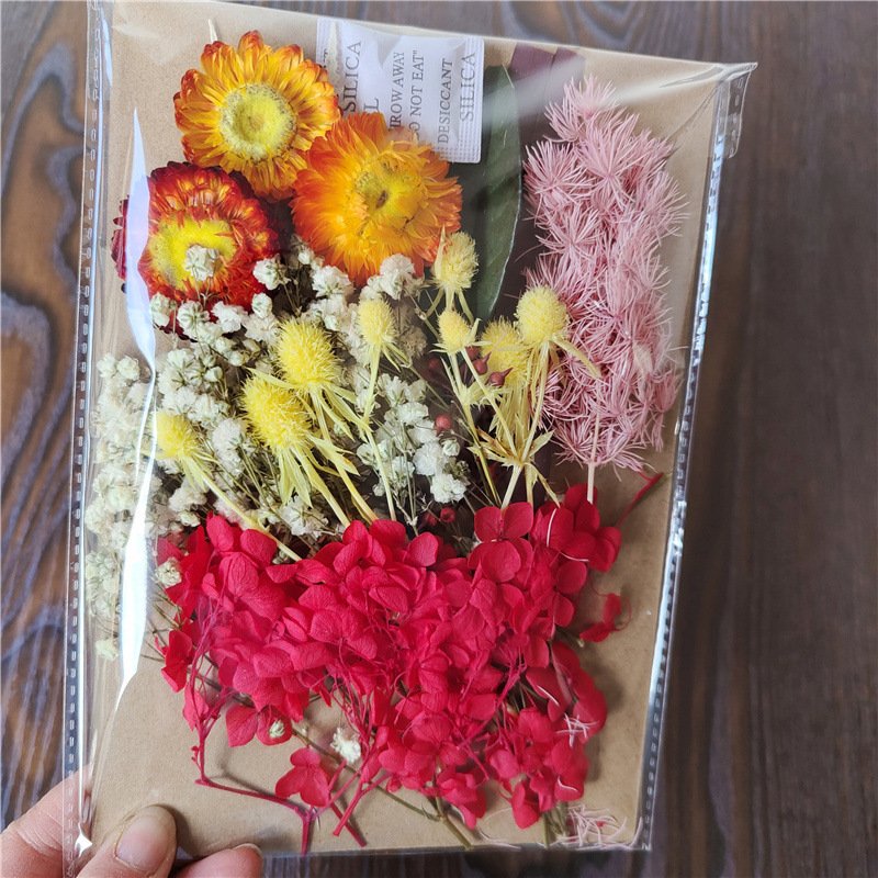Preserved Eterna Epoxy Resin Pendant Necklace Craft Diy Floral 1 bag Natural Dried Flower Dry Plant For Aromatherapy Candle