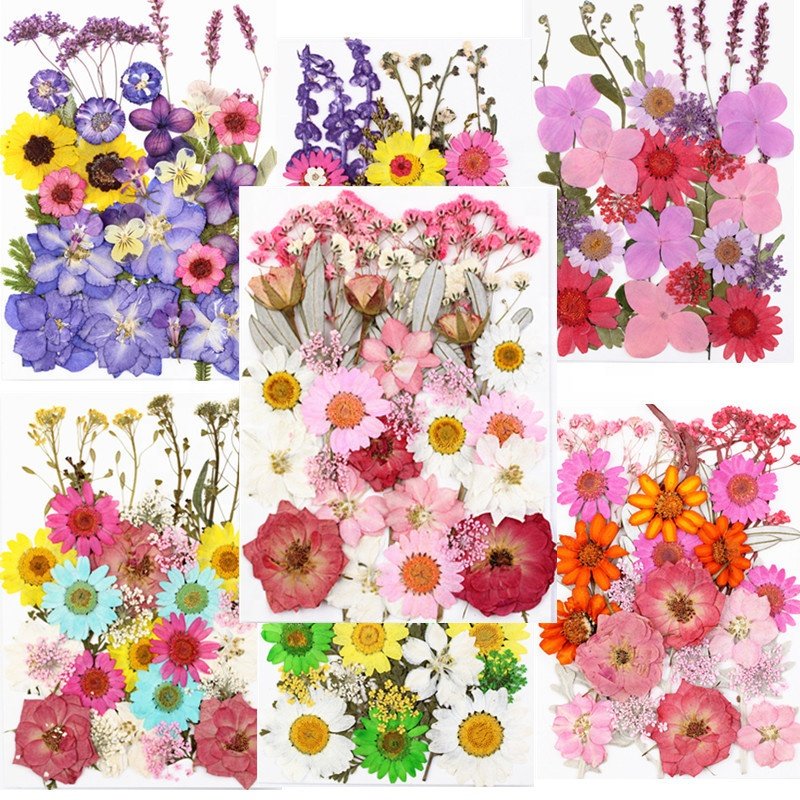 Hot Selling Natural Pretty Press Decoration And Plants Dried Flower Pack For Resin