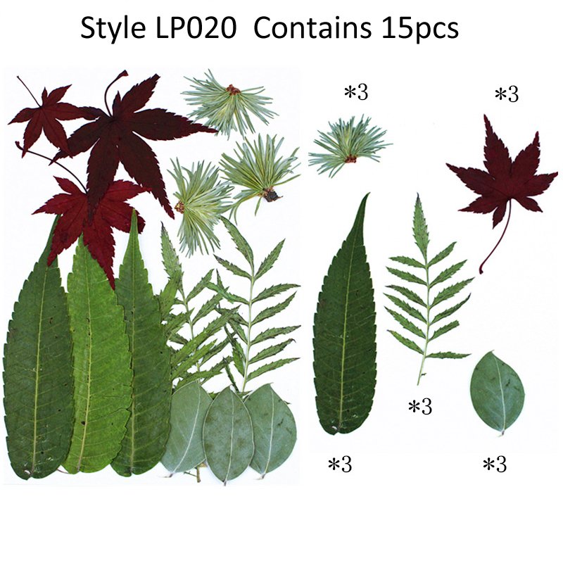 15pcs Pressed Real Dried Leaves Green Nixed Dry Flower Leaf For Nail Art Resin Soap Candle Decoration