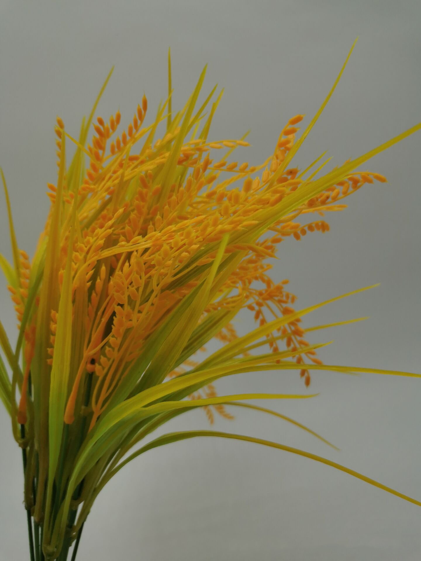 Simulation Wheat Ears Rice Faux Flowers Plastic Dried Flowers Shooting Dance Props Outdoor Living Room Display Flowers