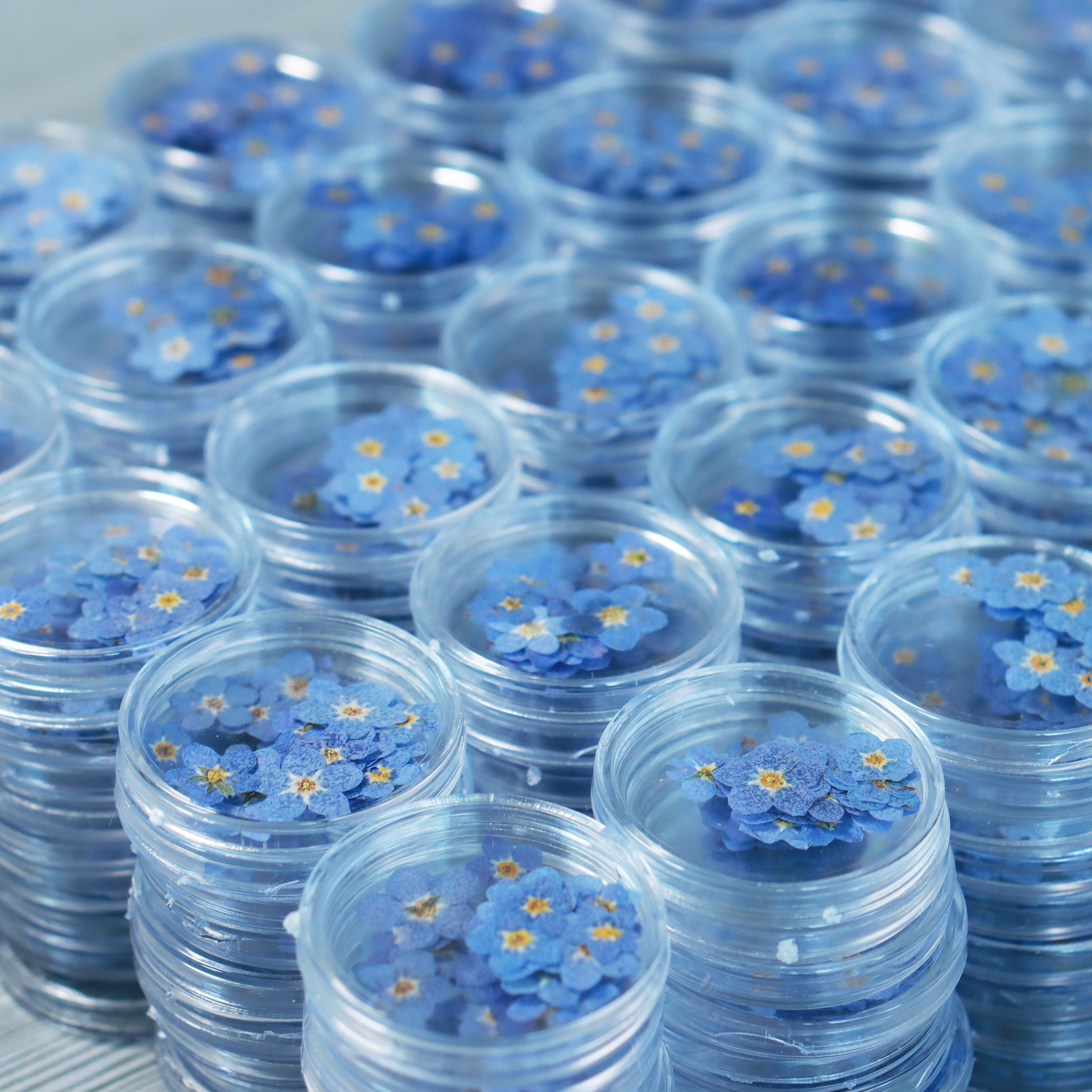 M001 Floral Resin Jewelry Nail Dried Flowers Stickers Forget Me Not Bulk Dried Pressed Flowers Dry flowers For Resin
