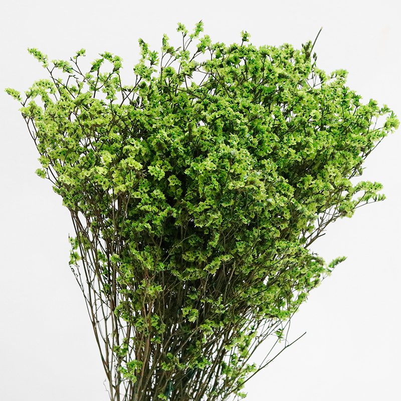 GH-076 Wholesale hot sale natural Dried Flowers material preserved crystal grass for Home Decoration