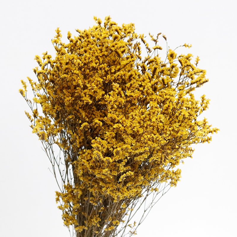 GH-076 Wholesale hot sale natural Dried Flowers material preserved crystal grass for Home Decoration