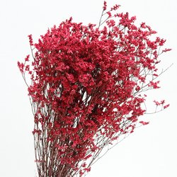 Rosy