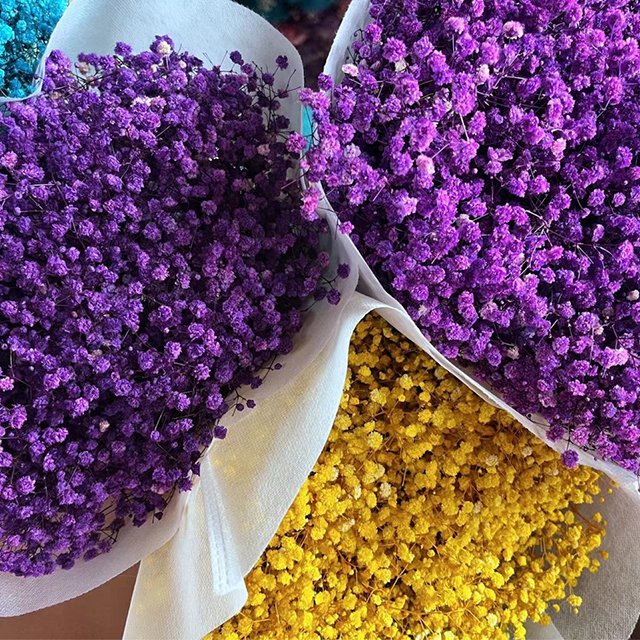 yunnan decoration flower dried preserved gypsophila flowers dry baby breath flower for floral decor