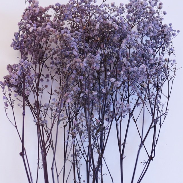 yunnan decoration flower dried preserved gypsophila flowers dry baby breath flower for floral decor