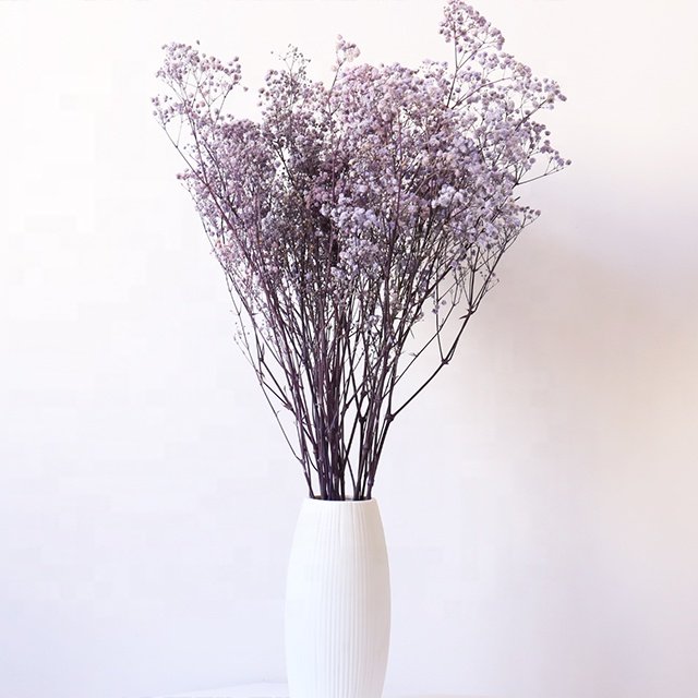 yunnan decoration flower dried preserved gypsophila flowers dry baby breath flower for floral decor