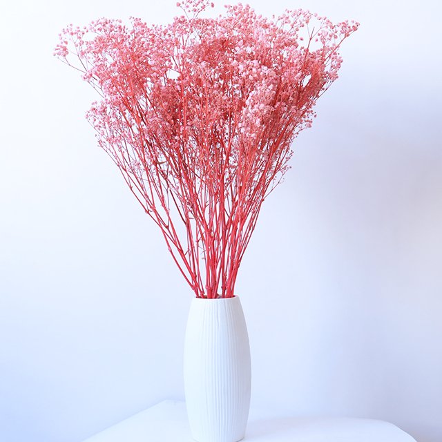 yunnan decoration flower dried preserved gypsophila flowers dry baby breath flower for floral decor