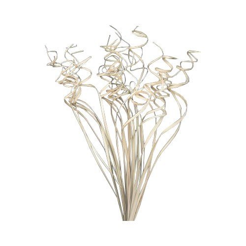 Flower Artificial Dry Flower White A Colourful Dried Flowers