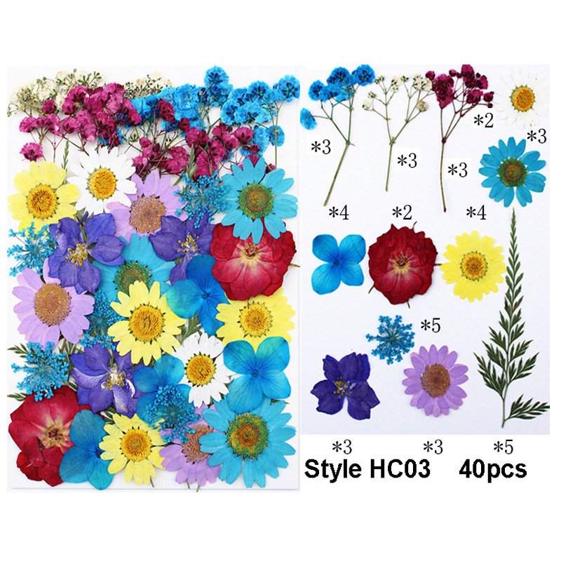 Multiple Colorful Daisies Real Pressed Flowers Dried Pressed Leaf Flowers for Craft Resin Jewelry Making Art Craft DIY
