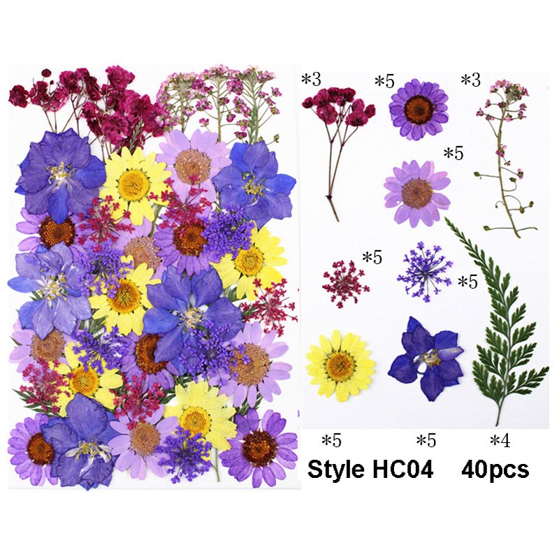 Multiple Colorful Daisies Real Pressed Flowers Dried Pressed Leaf Flowers for Craft Resin Jewelry Making Art Craft DIY