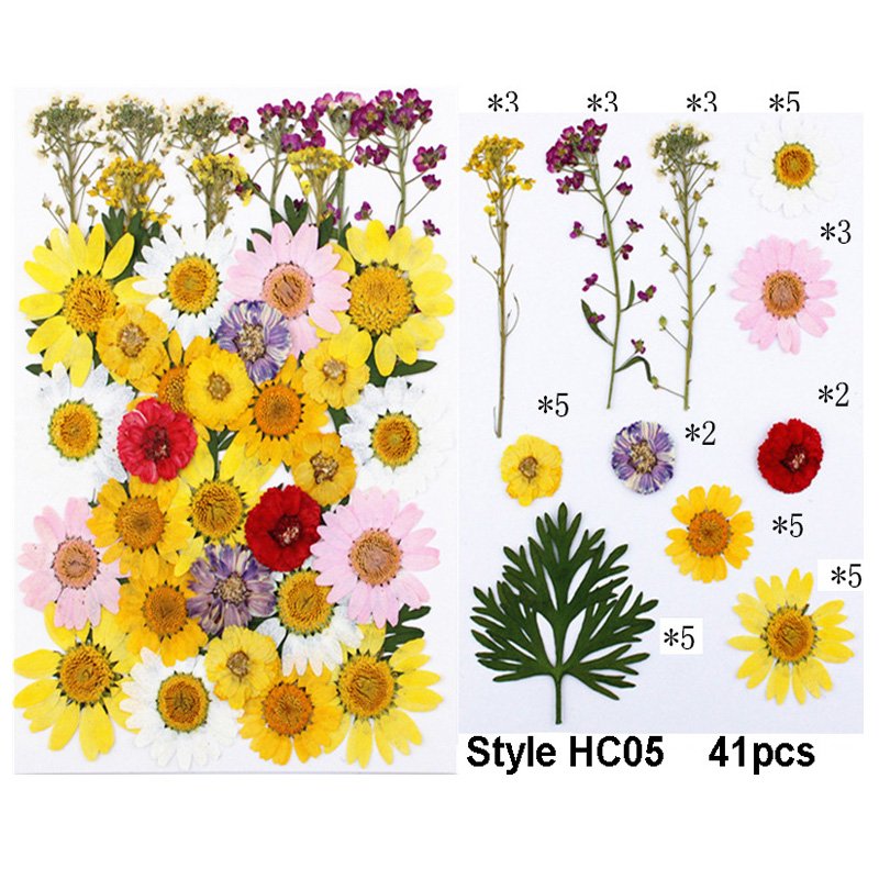 Multiple Colorful Daisies Real Pressed Flowers Dried Pressed Leaf Flowers for Craft Resin Jewelry Making Art Craft DIY