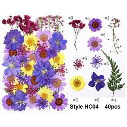 HC04