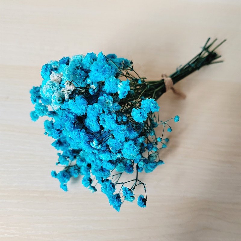 wholesale preserved Gypsophila natural dried flower bouquet mini preserved babysbreath flower bouquet for floral arrangement