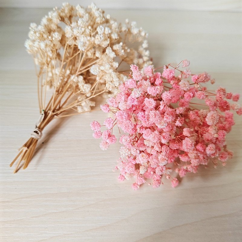 wholesale preserved Gypsophila natural dried flower bouquet mini preserved babysbreath flower bouquet for floral arrangement