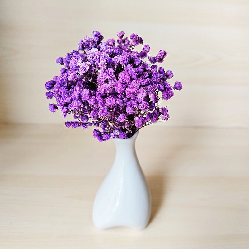 wholesale preserved Gypsophila natural dried flower bouquet mini preserved babysbreath flower bouquet for floral arrangement