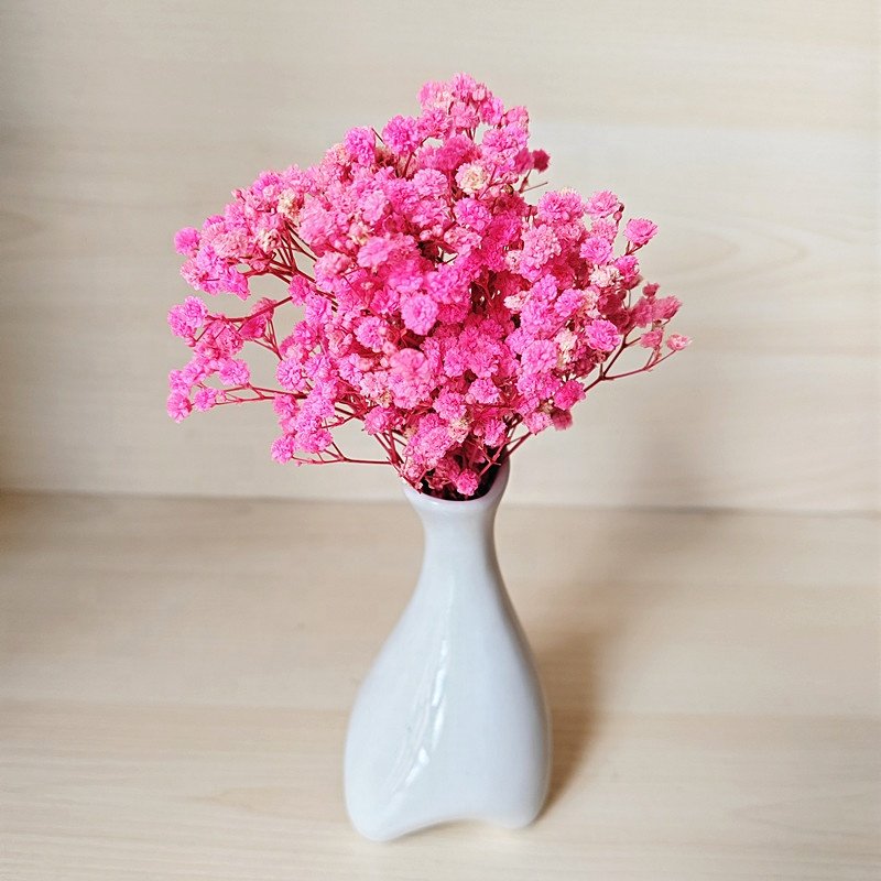 wholesale preserved Gypsophila natural dried flower bouquet mini preserved babysbreath flower bouquet for floral arrangement
