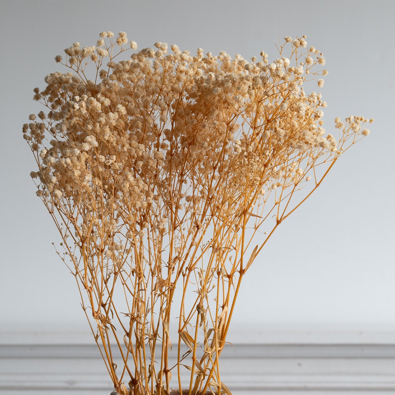 Wholesale Beige preserved baby's breath floral dried baby breath gypsophila babysbreath bouquet flower