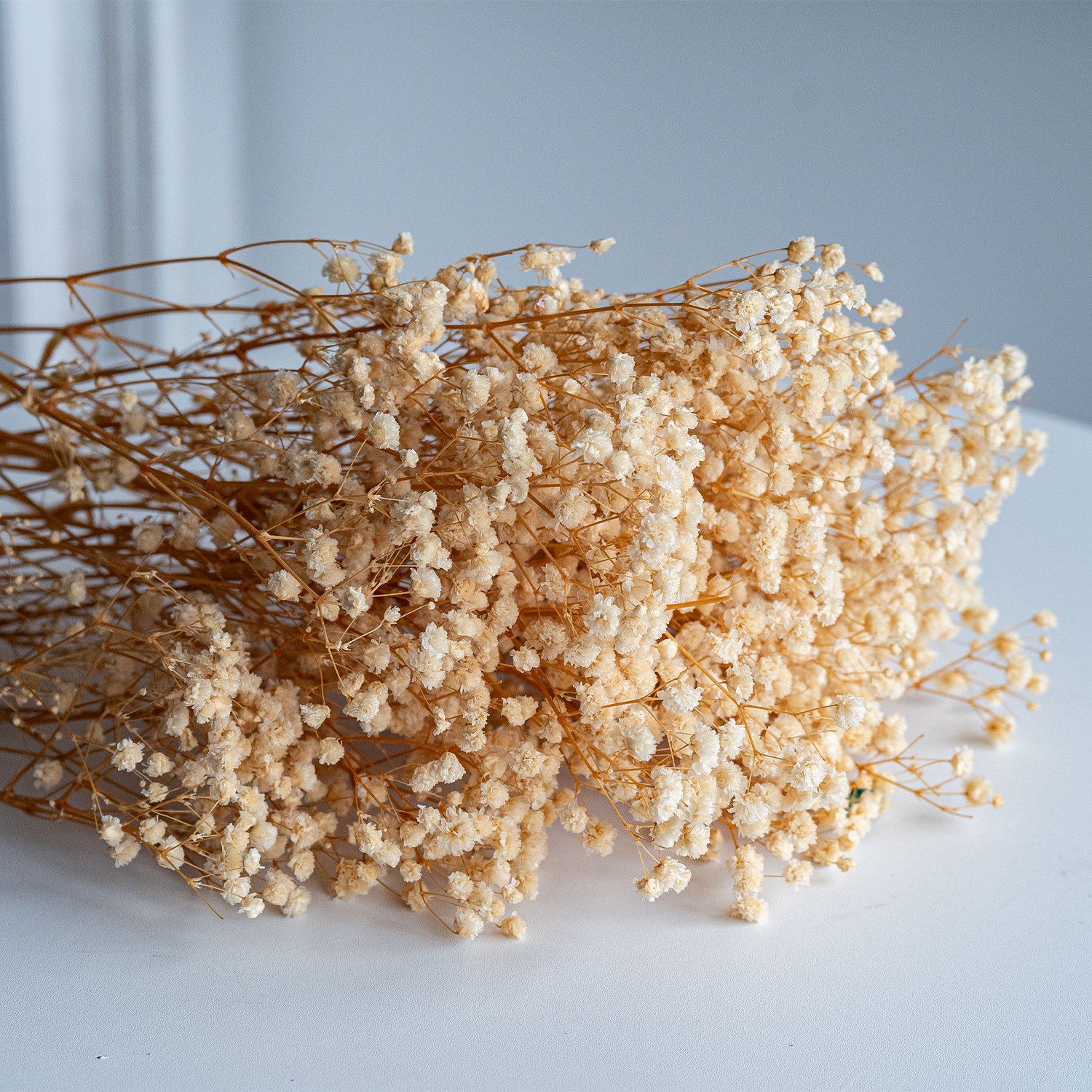 Wholesale Beige preserved baby's breath floral dried baby breath gypsophila babysbreath bouquet flower