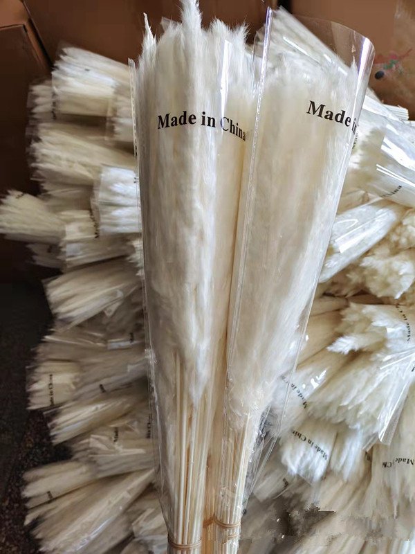 23 inch boho decorative natural white flower bouquet small reed dried flower