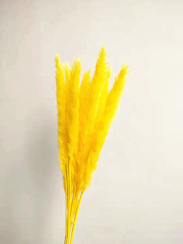 23 inch boho decorative natural white flower bouquet small reed dried flower