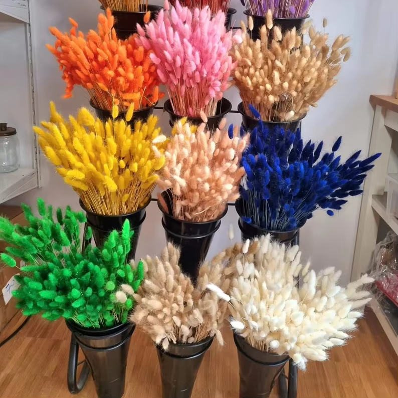 T-1 About 60 stems of high-quality natural dried flowers dried lagurus bouquets flower arrangements rabbit tail grass