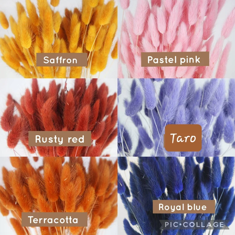 T-1 About 60 stems of high-quality natural dried flowers dried lagurus bouquets flower arrangements rabbit tail grass