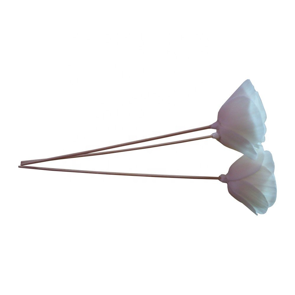 Decorative Dried Flowers Sola Wood Flower Real Nature Made Office Decor Sola Wood Flowers With Stem
