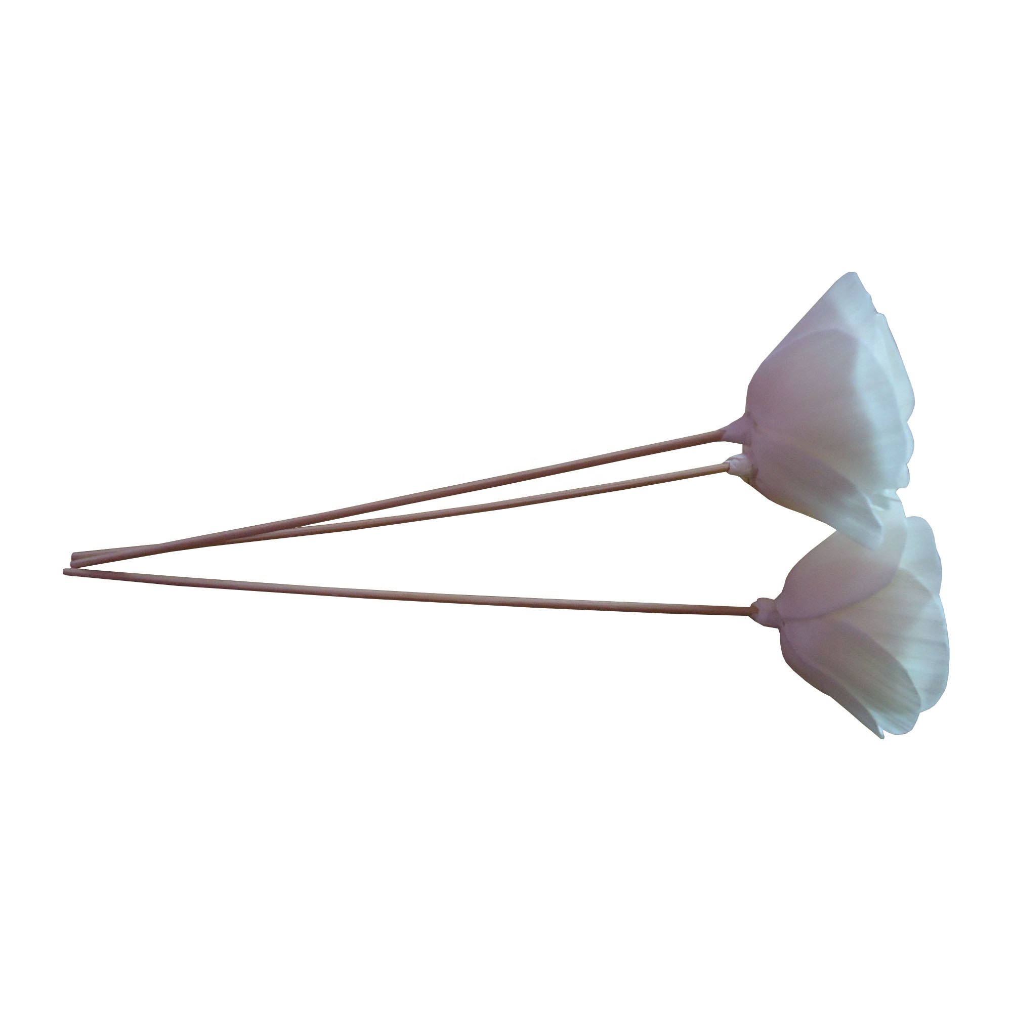Decorative Dried Flowers Sola Wood Flower Real Nature Made Office Decor Sola Wood Flowers With Stem