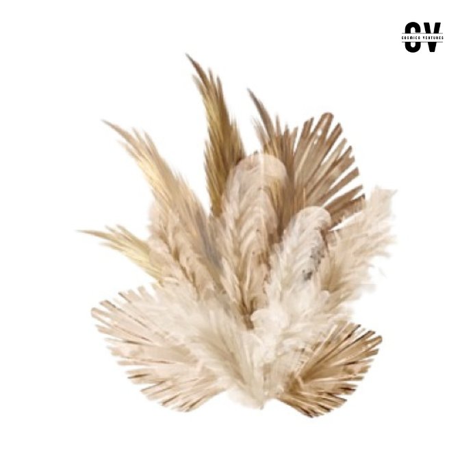 Natural Pampas Grass Dried Flower Decorations for Christmas New Year Other Events