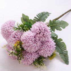 Color4