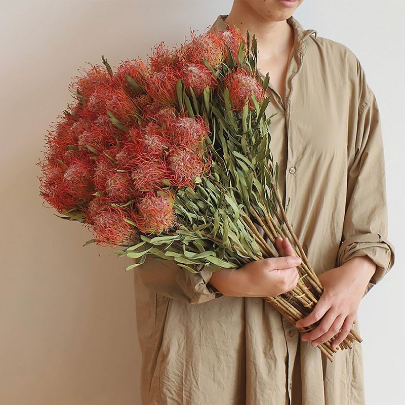 Wholesale Natural Dried Flowers Floral Design Graduation Halloween Including Chrysanthemum Protea Cordifolium Pincushions