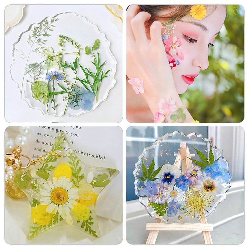 Early Riser Wholesale 20PCS dried flower press mixed DIY dehydrated natural dried flower packaging resin makeup