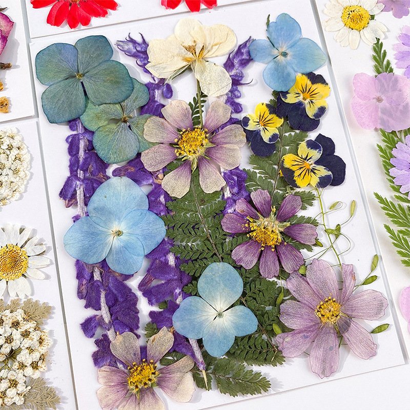 Early Riser Wholesale 20PCS dried flower press mixed DIY dehydrated natural dried flower packaging resin makeup